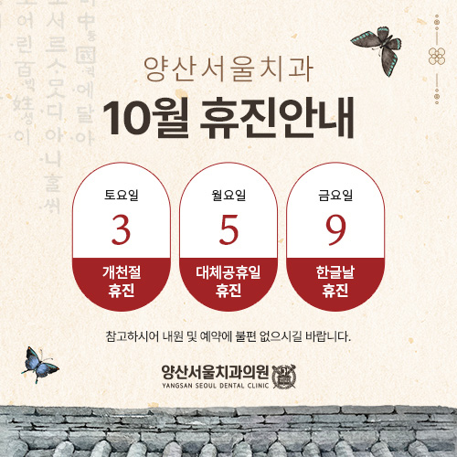 진료일정